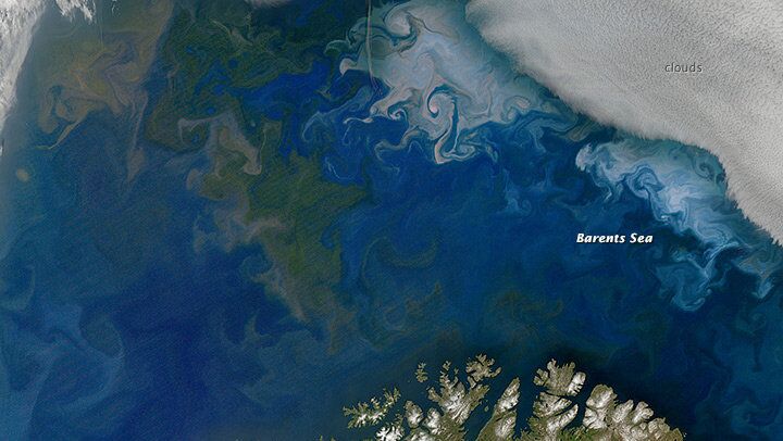 Океанолог предупредил об опасности красных приливов