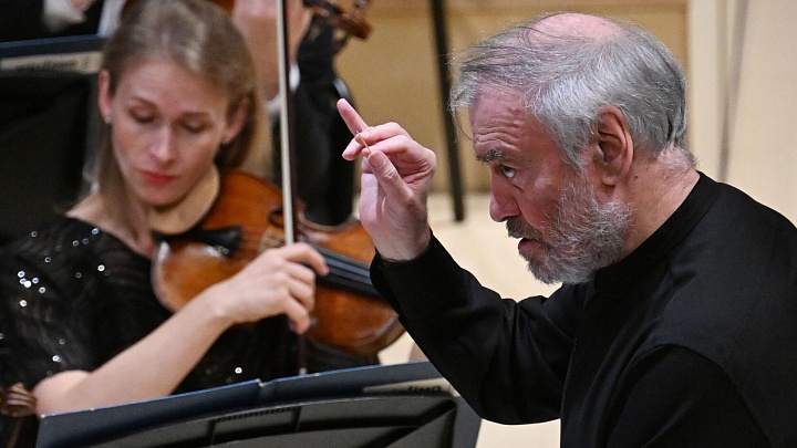 Евродепутат прокомментировал отмену концерта Гергиева в Италии