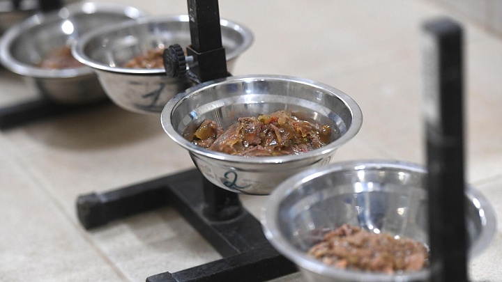 Россельхознадзор предложил ввести маркировку кормовых добавок для животных