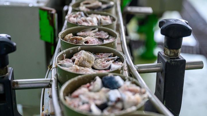 Роскачество проверило 19 торговых марок сардин с маслом