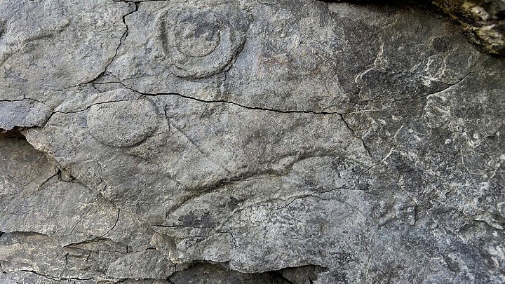 На Урале обнаружили следы доисторических существ